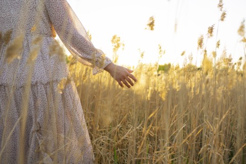 Young woman touching plants in field at sunset