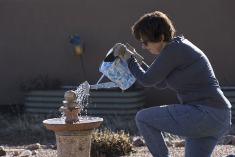 Woman filling bird bath with watering can