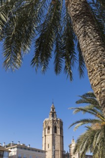Bell tower of Valencia Cathedral and palm trees