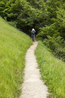 Senior woman hiking Dipsea Trail