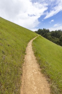 Hiking trail from Stinson beach crossing hill