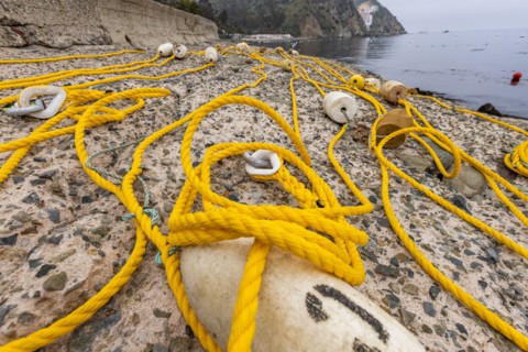 Nautical rope and buoys on sea coast