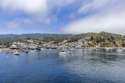 View of Avalon Harbor and town on sea coast