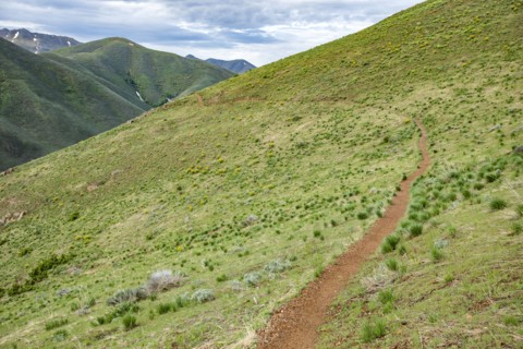 Hiking trail on Carbonate Mountain