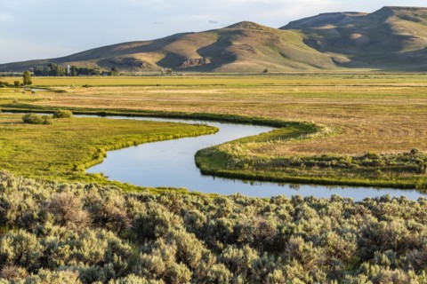 Silver Creek stream flowing through farmland