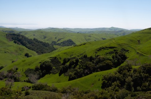 Rolling green landscape with clear sky above