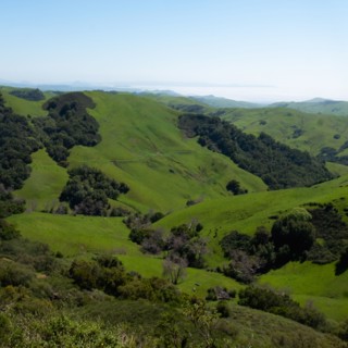 Rolling green landscape with clear sky above