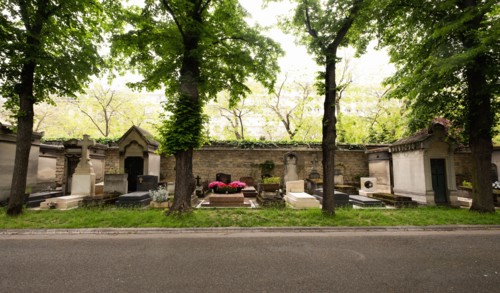 Trees along tombstones in cemetery