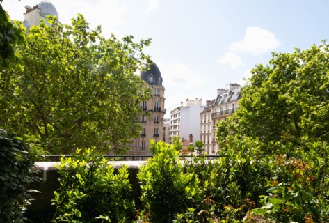 Lush trees in front of buildings in city