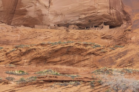 USA Arizona