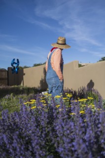 USA New Mexico