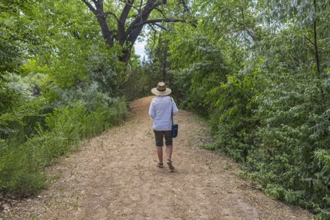 Rear view of woman walking on footpath in High Desert oasis