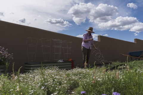 USA New Mexico