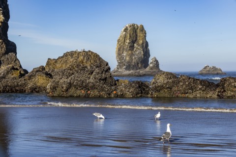 USA Oregon