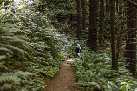 Woman walking on path in forest