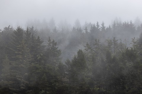USA Oregon