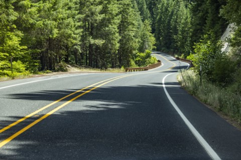 Empty road leading through forest