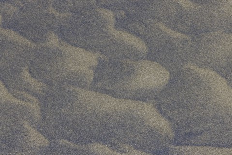 Wind sculpted patterns in beach sand