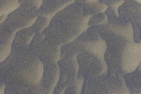 Wind sculpted patterns in beach sand