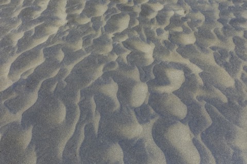 Wind sculpted patterns in beach sand