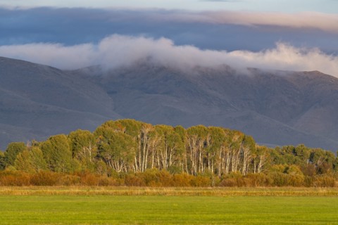 USA Idaho