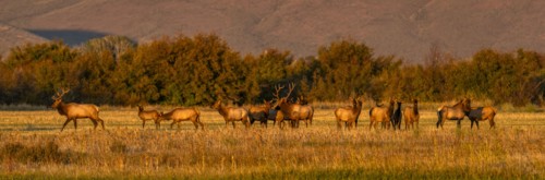 USA Idaho