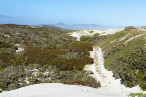 South Africa