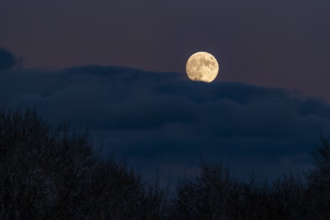 Full moon rising over clouds, Bellevue, Idaho, USA