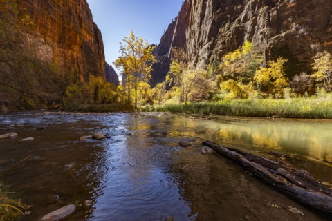Calm Virgin River and rock formations in Zion National Park in autumn, , Utah, USA