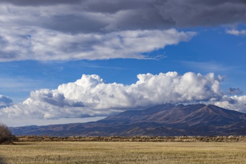 Puffy clouds over mountains with grassy field in foreground, Fairfield, Idaho, USA