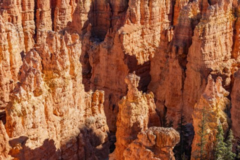 Close-up of hoodoos in Bryce Canyon National Park, , Utah, USA