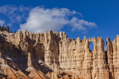 Sandstone rock formations in Bryce Canyon National Park, , Utah, USA