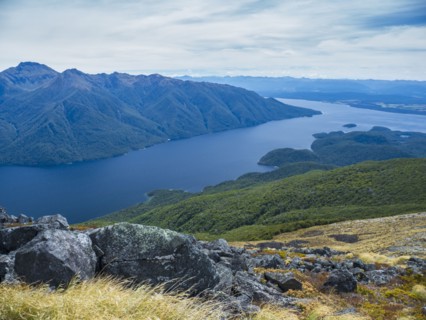 Fjord surrounded by green mountains in Fiordland National Park, Te Anau, Fiordland, New Zealand