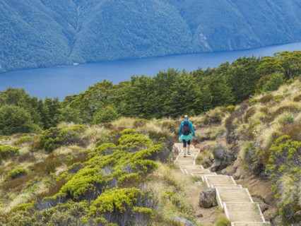 Rear view of female hike descending steps in Fiordland National Park, Te Anau, Fiordland, New