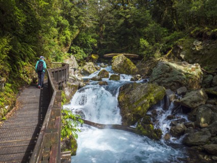 Rear view of hiker crossing footbridge over creek in Fiordland National Park, Te Anau, Fiordland,