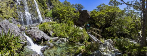 Rear view of hiker crossing footbridge near waterfall in Fiordland National Park, Te Anau,