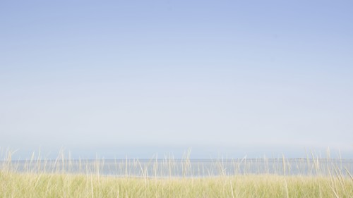 USA, M, Nantucket, View of Nantucket Sound from Madaket with grass in foreground, Nantucket,