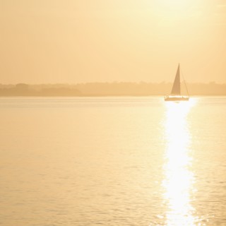 USA, South Carolina, Charleston, Sailboat on Charleston Harbor at sunset, Charleston, South