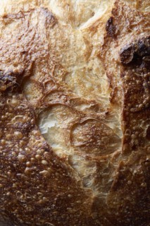 Close-up of sourdough bread, New York, New York, USA