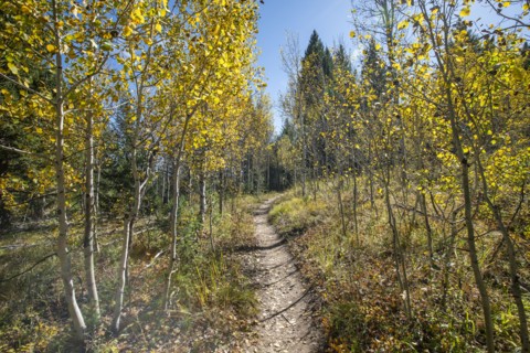 USA, Idaho, Hiking trail in Fall at Sun Valley, Sun Valley, Idaho, USA