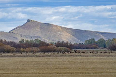 USA, Idaho, Bellevue, Field and hills in Fall season near Sun Valley, Bellevue, Idaho, USA