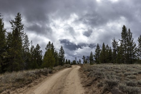 USA, Idaho, Dirt road leads through Sawtooth National Forest on cloudy day, Stanley, Idaho, USA
