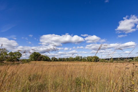 USA, Wisconsin, Clouds over landscape in Donald County Park near Madison, Mt. Horeb, Wisconsin, USA