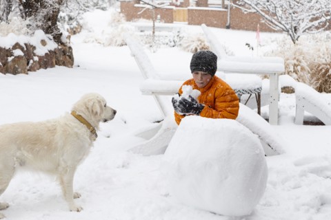 Boy with his dog building snowman, Santa Fe, New Mexico, USA
