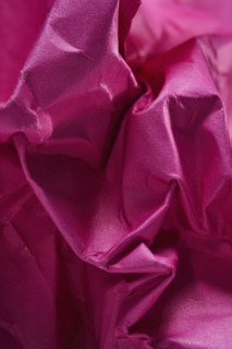 Close-up of pink crumpled paper, Austin, Texas, USA