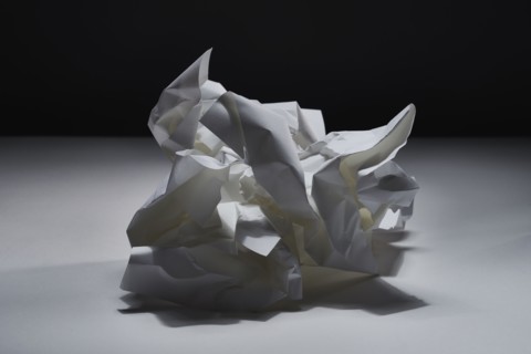 Studio shot of white crumpled paper, Austin, Texas, USA