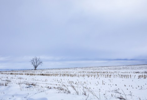 Empty highway 20 crossing snow covered fields in winter, Gooding, Idaho, USA