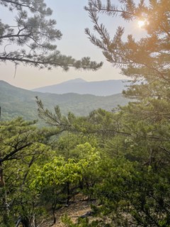 USA, Virginia, Blacksburg, Sun shining through tree branches in hilly landscape, Blacksburg,