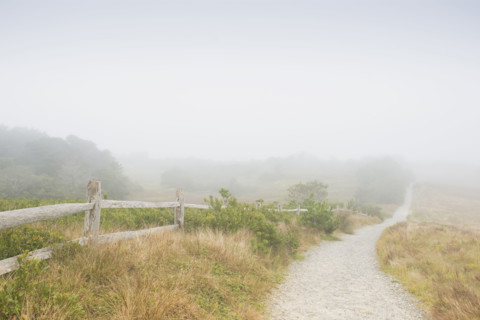 Path to the Nantucket Cliffs in fog
Nantucket, Massachusetts, USA