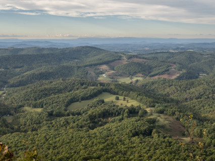 High angle view of green hills and forests
Floyd, Virginia, USA